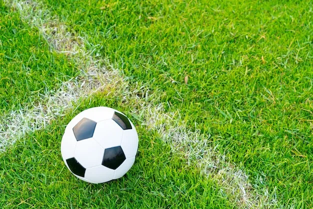 CBA直播体育 体育盛况